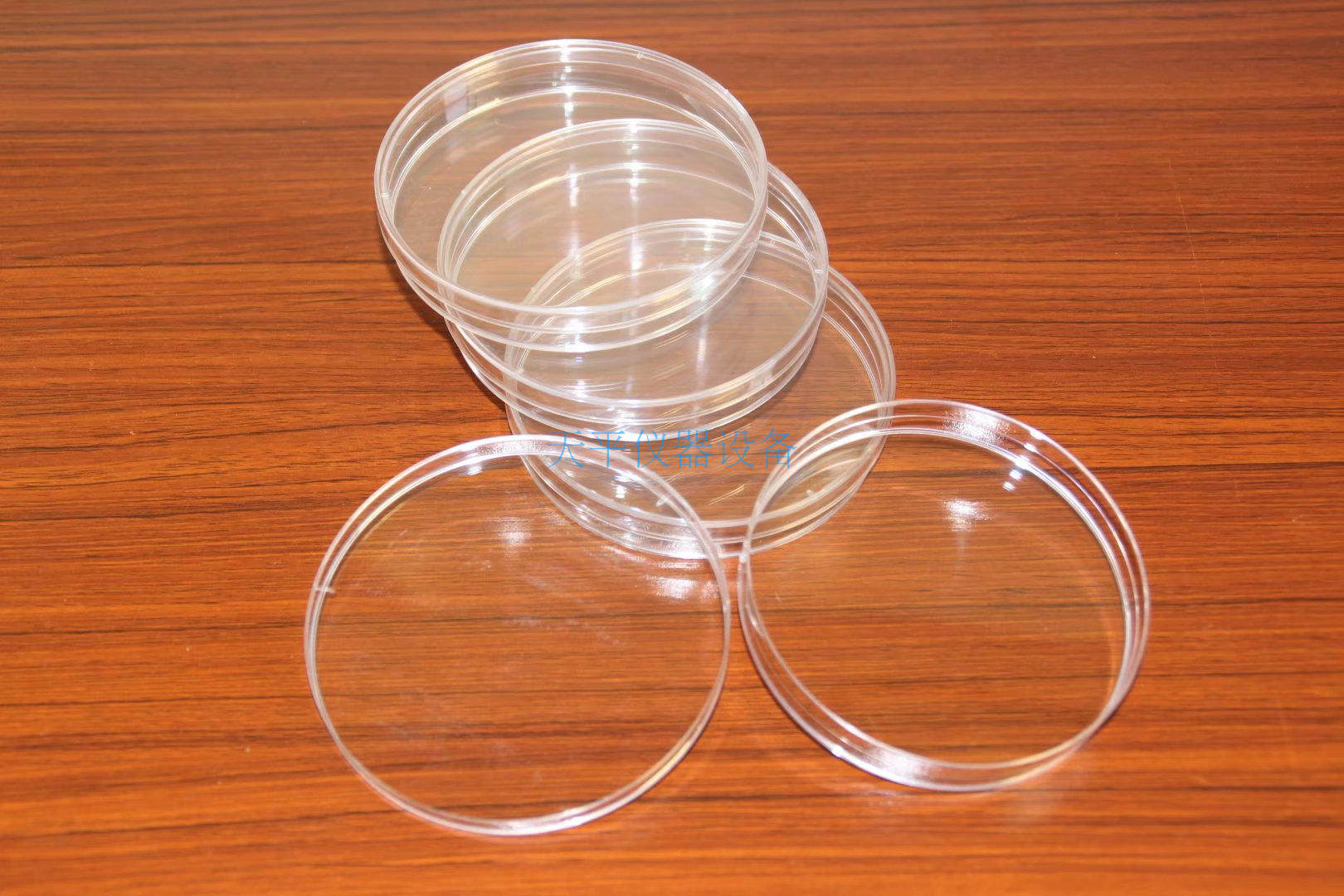 塑料培养皿90mm/9cm 一其它