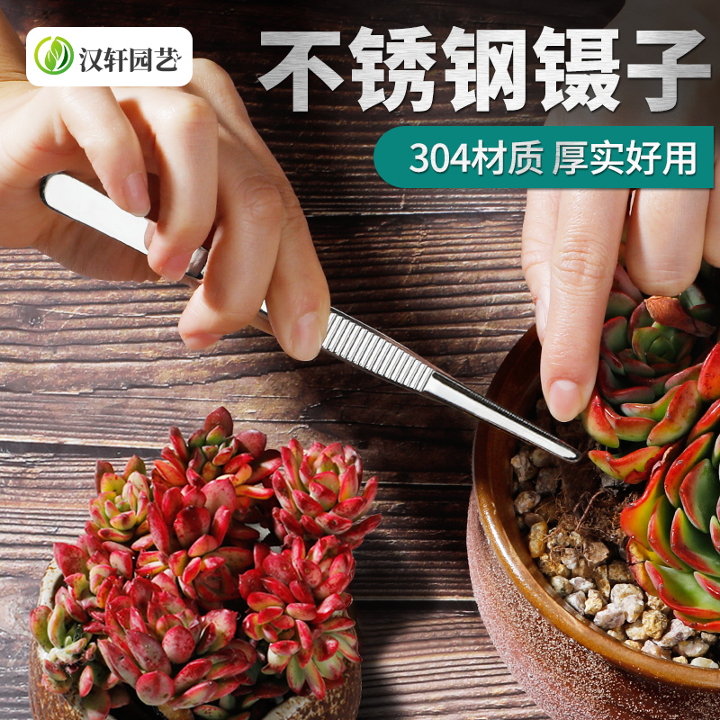 汉轩加厚型不锈钢多肉镊子夹直