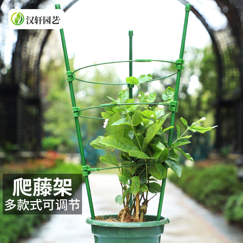 汉轩 爬藤架子花支架月季花架植物盆室内花卉支撑杆园艺铁线攀爬