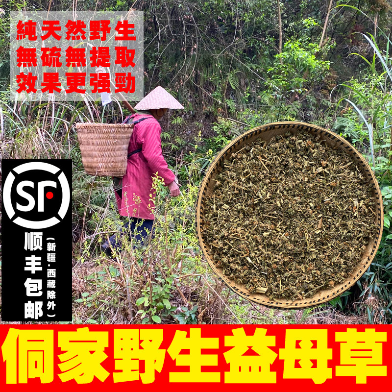 当季新货苗家野生益母草中药材 泡脚调理姨妈月经不调250g