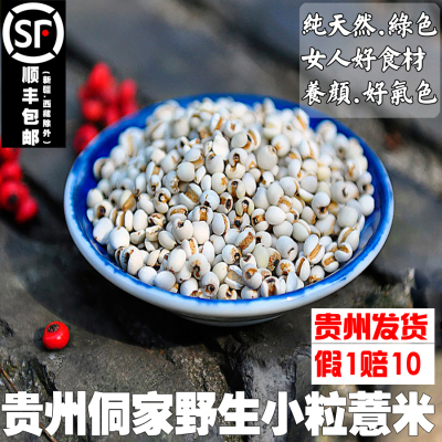 贵州侗家高山小薏米小粒散装薏仁米新货薏苡仁可配茯苓赤小豆煮水