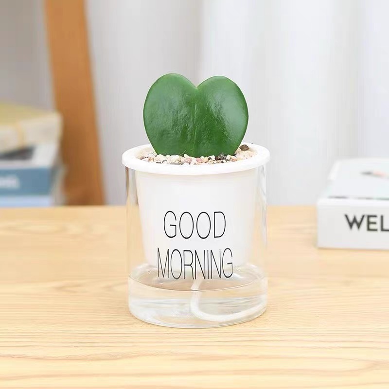 一片心多肉盆栽儿童节教师节植物礼品净化空气绿植治愈系桌面花草