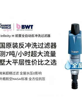 德国倍世BWT原装进口自动前置过滤器自动反冲洗过滤器Infinity M