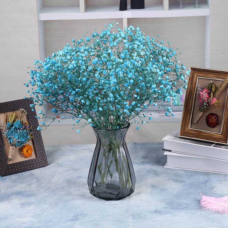 云南天然真花白色蓝色满天星干花花束带花瓶家居装饰客厅卧室摆设在类目 家居饰品, 花瓶/花器/仿真花/仿真饰品, 干花/花瓣/干花包/干树枝中 - 来自Buy2taobao.com提供专业的淘宝代购服务