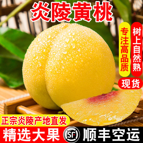 【官方推荐】正宗炎陵黄桃顺丰