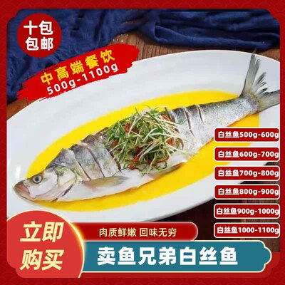 卖鱼兄弟白丝鱼850-900g新鲜腌制酒店饭店餐饮特色半成品预制菜