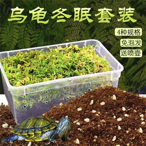 乌龟冬眠套装龟过冬椰土苔藓草沙土垫材乌龟保温饲养箱乌龟冬眠箱