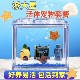 海燕海星宠物活体迷你海洋生物派大星小朋友礼物 海星饲养套餐