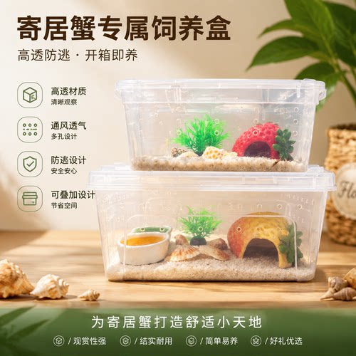 【寄居蟹饲养套餐】新手套餐饲养箱盒用品桌面宠物儿童礼物