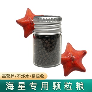 海星饲料海星粮海星增色粮海星食物营养不浑水派大星食物