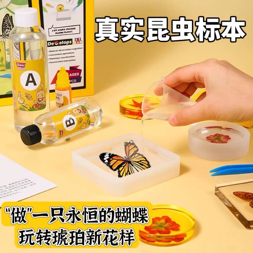 真实琥珀昆虫标本制作玩具花朵diy蝴蝶儿童手工实验材料自制工具