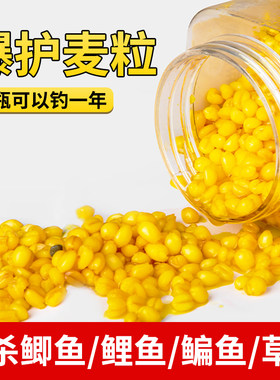 钓鱼饵料谷麦饵料不空军