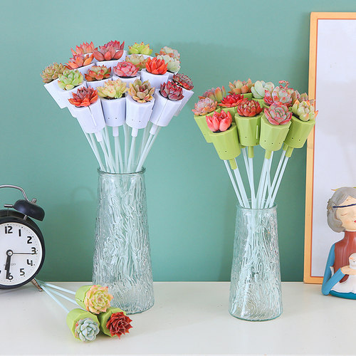 七彩多肉花束 盆栽绿植花卉多肉diy植物办公桌面阳台巴西木好养活