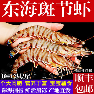 【东海海捕特大斑节虾九节虾基围虾大虾竹节虾顺丰1000g礼盒