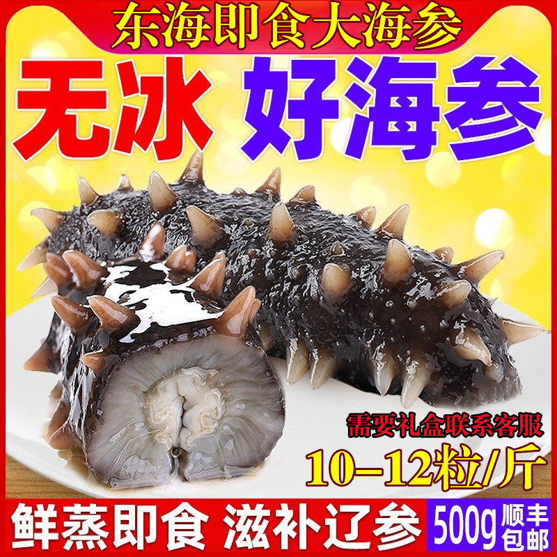 福建连江即食海参500g 刺参鲜活特价即食海渗野海生干货单个装参