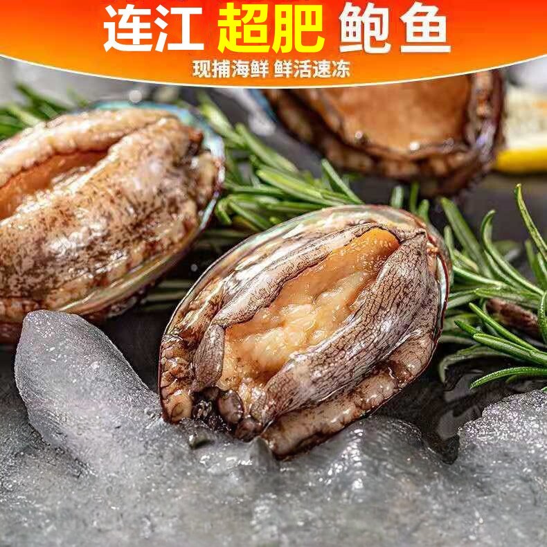 新鲜鲍鱼海鲜水产鲜活速冻大个超大个鲍鱼特大5-7粒/斤到手2斤
