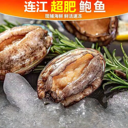 连江鲍鱼福建特大新鲜5-7粒一斤