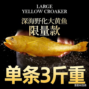 【正常发货】野化大黄鱼黄花鱼海鲜水产鲜活黄鱼冷冻3斤1条顺丰