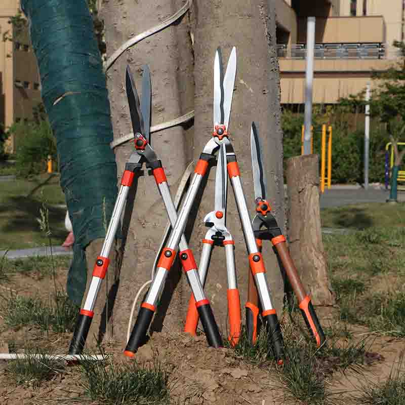 園藝大剪刀伸縮樹枝剪草坪剪沭工