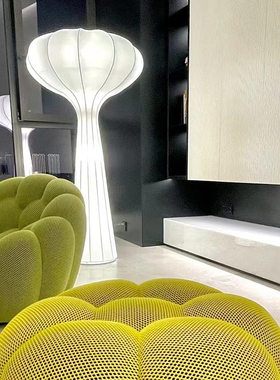 Roche Bobois 法国进口 Arbre 落地灯氛围灯客厅灯书房灯装饰灯