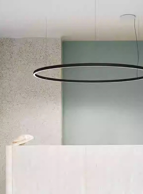 意大利Luceplan 圆环吊灯吸顶灯壁灯D81P Compendium D81C创意