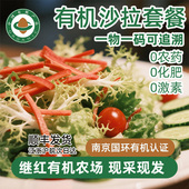 继红有机农场有机蔬菜沙拉菜可以生吃小西红柿苦菊绿生菜红生菜