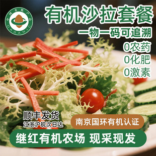 继红有机农场有机蔬菜沙拉菜可以生吃小西红柿苦菊绿生菜红生菜