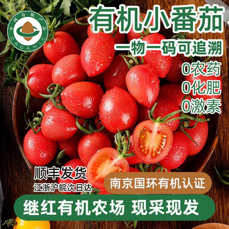 南京继红有机农场有机小番茄新鲜自然熟正宗小西红柿圣女果千禧红