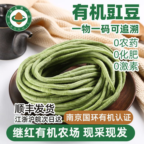 继红有机农场有机认证长豆角