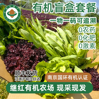 继红有机农场4.5斤有机蔬菜套餐盲盒非自选顺丰包邮新鲜应季蔬菜