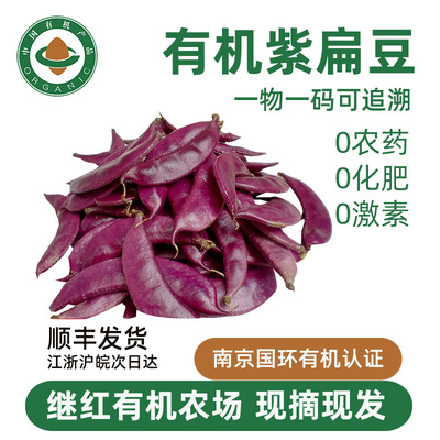 有机紫扁豆继红有机农场直发