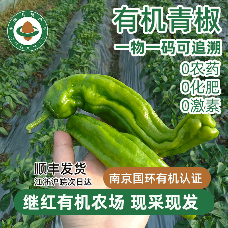 继红有机农场新鲜有机辣椒青椒大青椒绿色蔬菜配送有机认证菜椒