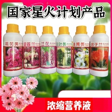 浓缩植物通用营养液君子兰蝴蝶兰室养花肥催花发财树绿箩水培肥