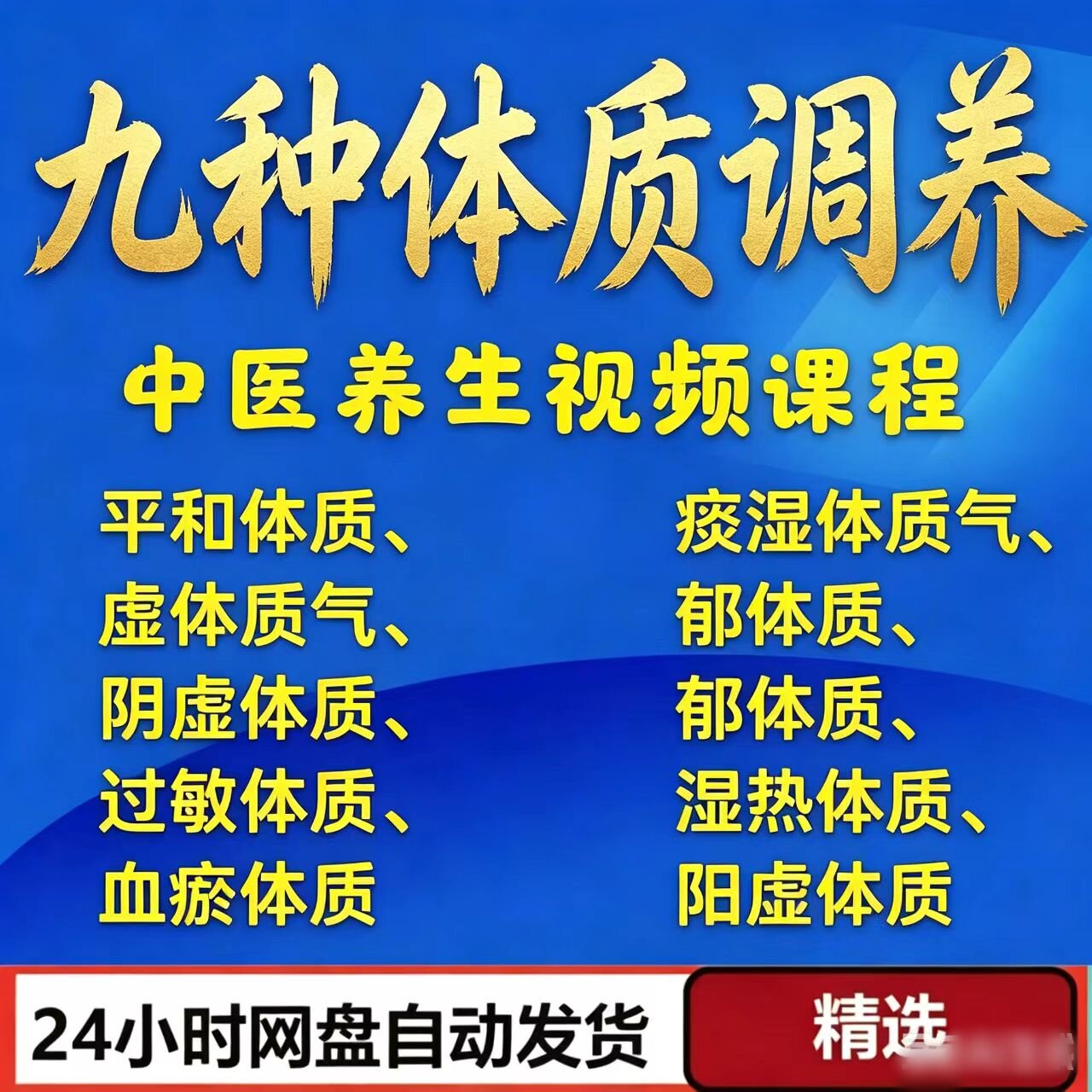 中医九种体质辨识与调理方法视频讲解教程中医辩证治疗原则课程