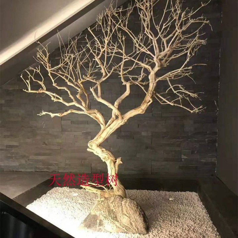 白色干枯树枝干枝许愿树枯树干霸王根造型树假树仿真树枝装饰树