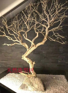 白色干枯树枝干枝许愿树枯树干霸王根造型树假树仿真树枝装饰树
