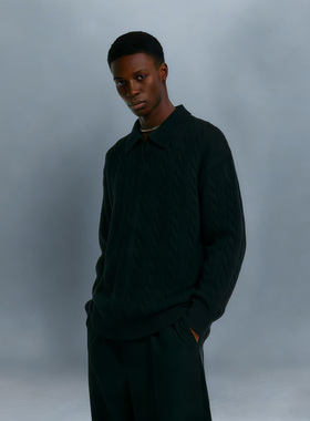 BCFR纯色麻花毛衣男士秋冬季内搭翻领针织衫宽松保暖毛线衣