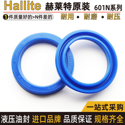 hallite好莱特油封601N-200*220 225 210*235 46094 46095 46096