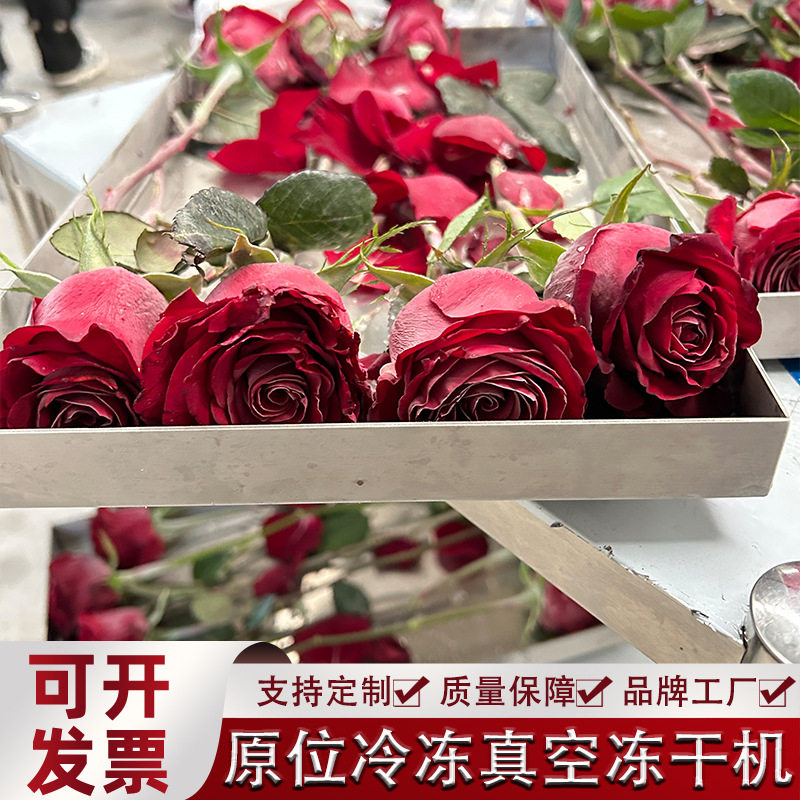 仙人掌果粉冻干设备 食品级天然碱化可可粉冻干机 真空冷冻干燥机