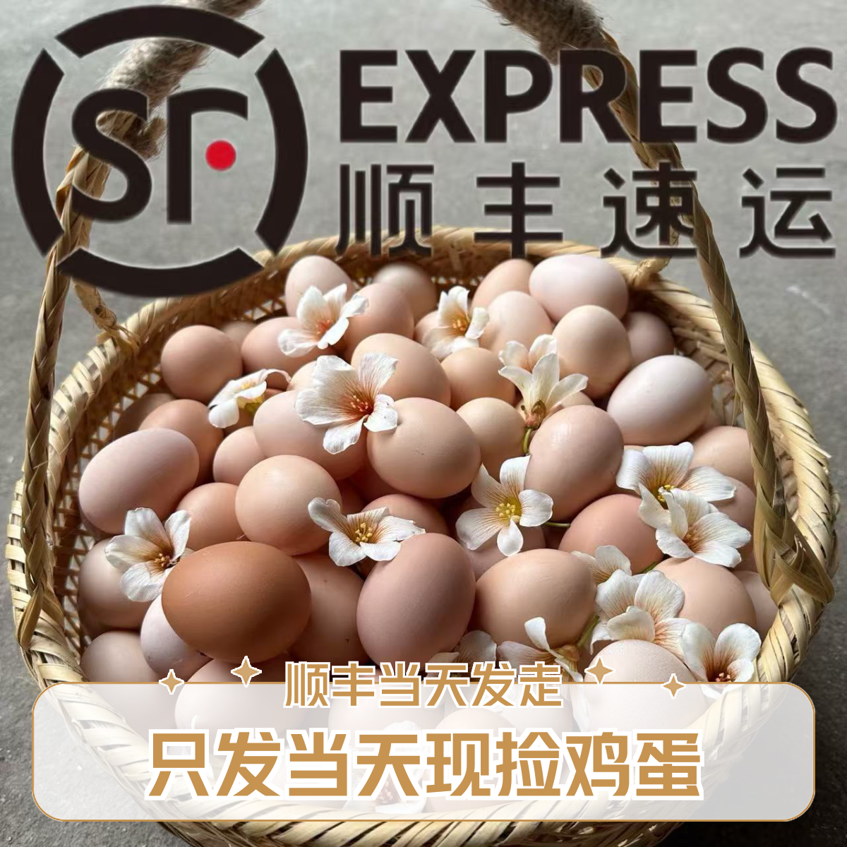 【50枚土鸡蛋】无激素色素抗生素仅供检测运输破碎包赔顺丰包邮,水产肉类/新鲜蔬果/熟食,鸡蛋,淘宝优惠券,粉丝福利购,淘宝优惠卷