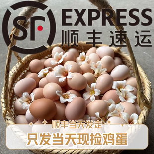 【50枚土鸡蛋】无激素色素抗生素仅供检测运输破碎包赔顺丰包邮