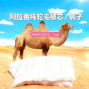 驼毛驼绒被子褥子加厚保暖单双人春秋被芯学生宿舍被褥冬被褥定制