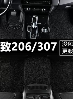 东风标致2005/2006/2007年2008老款206标志307SW进口汽车专用脚垫