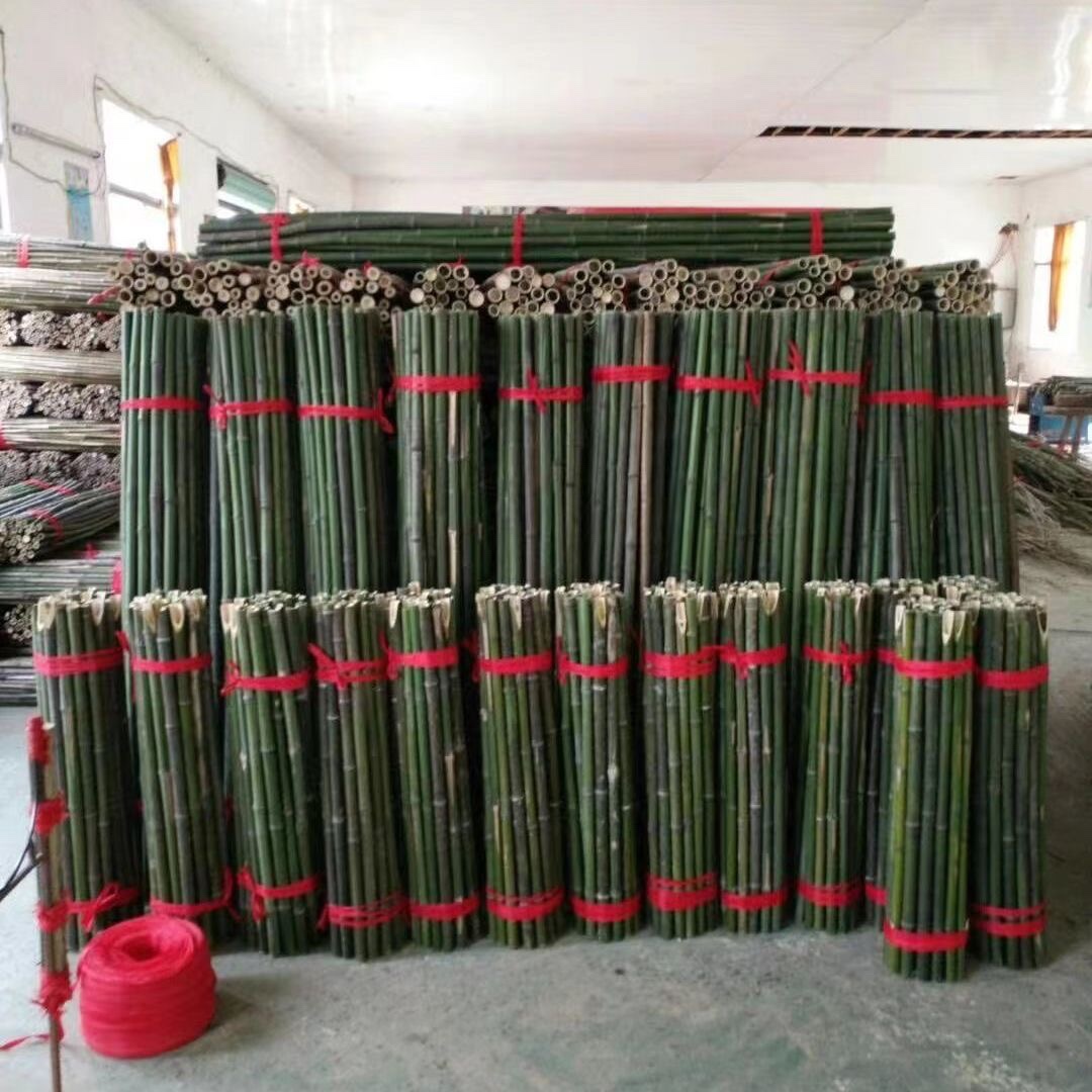 竹竿菜园搭架竹子户外旗杆黄瓜豆角爬藤菜架竹杆支架豇豆搭架杆