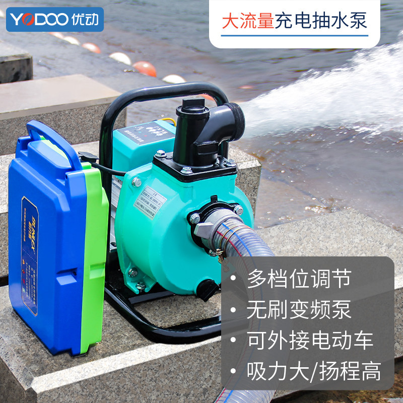 便携锂电户外抽水泵农用浇花浇地增压48v60v电动车充电家用抽水机