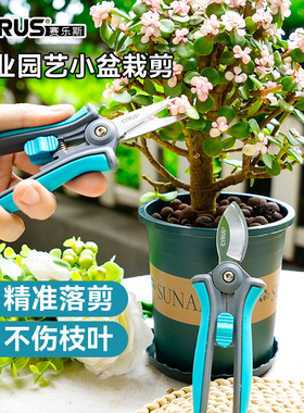 CYRUS赛乐斯盆栽剪刀-家用园艺花艺盆景插花鲜花修枝去叶不锈钢剪