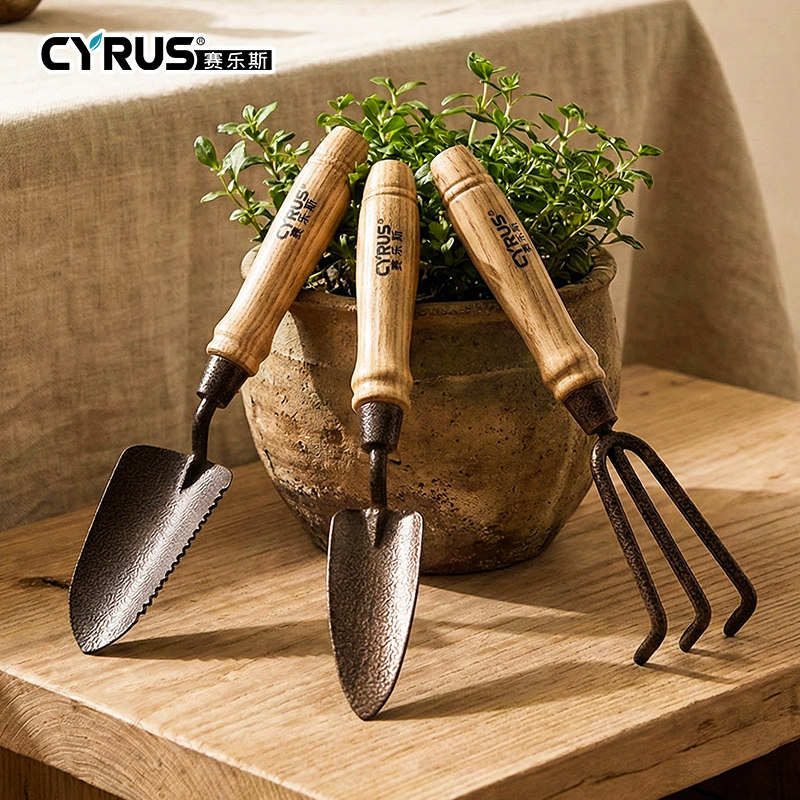 CYRUS赛乐斯种花工具-家用园艺栽花换盆小盆栽铲多肉植物日式套装,鲜花速递/花卉仿真/绿植园艺,铲子,淘宝优惠券,粉丝福利购,淘宝优惠卷