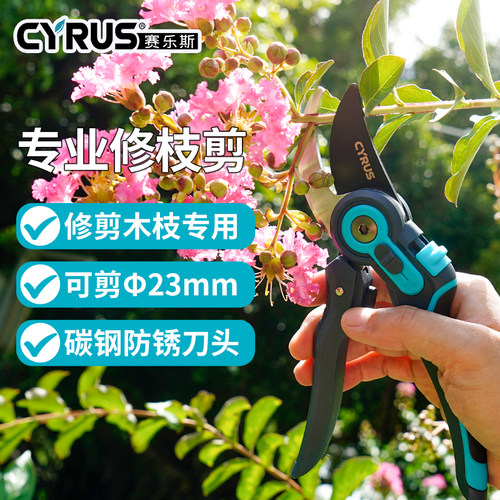 赛乐斯花剪盆栽园艺修枝剪