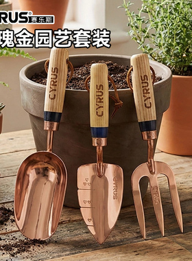 CYRUS赛乐斯园艺工具三件套-盆栽养花种花不锈钢玫瑰金花艺套装
