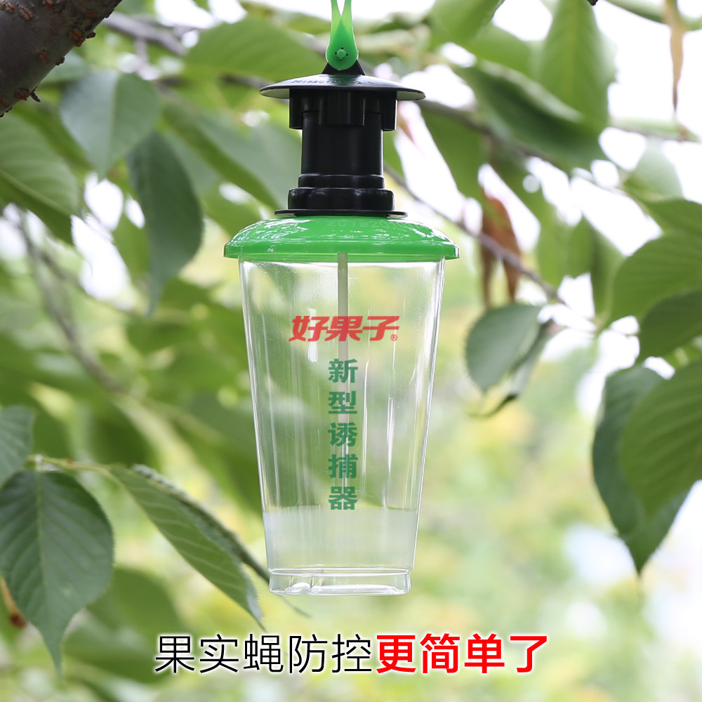 好果子诱捕器引诱果实蝇专用神器